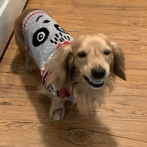 Meet your Posher, Anne